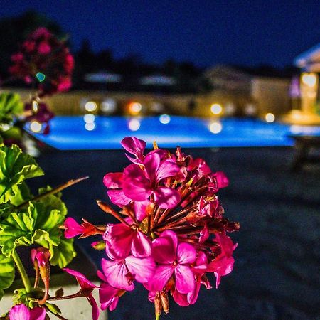 شقة Astrakeroula Corfu Astrakeri المظهر الخارجي الصورة