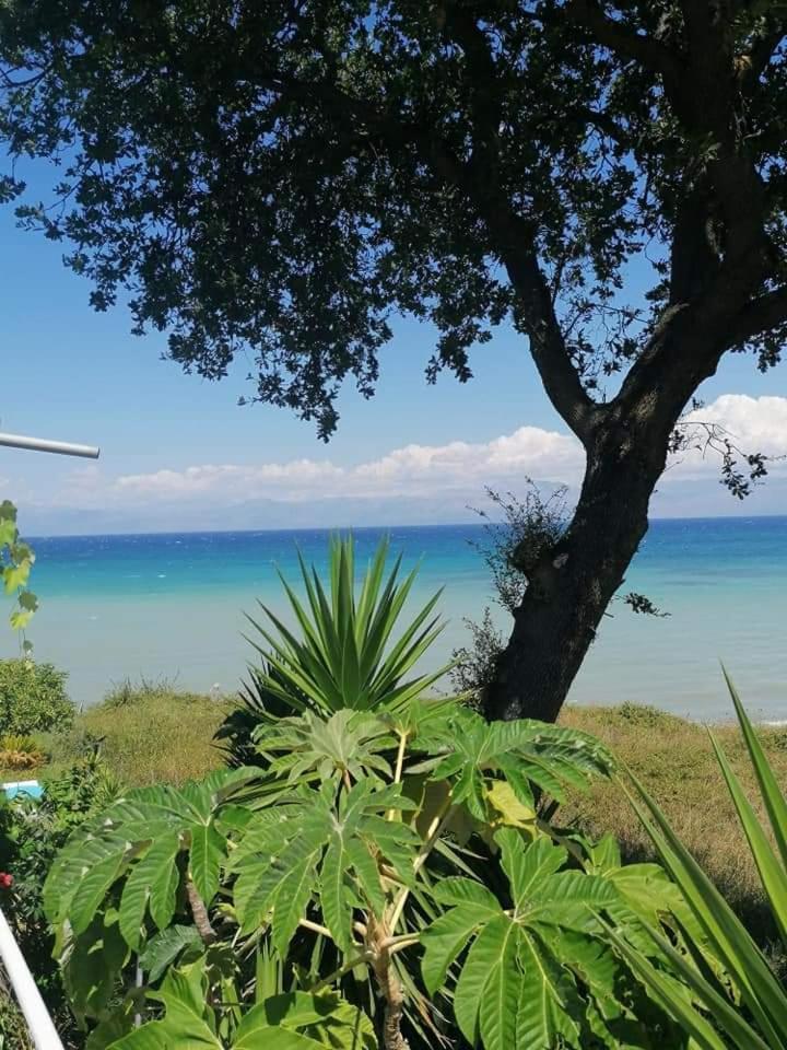 شقة Astrakeroula Corfu Astrakeri المظهر الخارجي الصورة